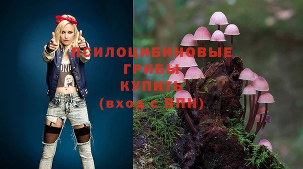 дурь Абдулино